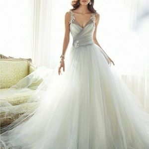 Wedding/ball gown